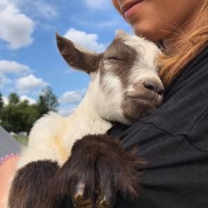 Meet your Posher, Allison